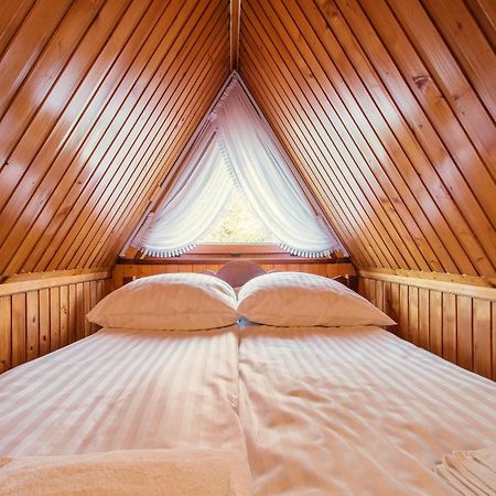 Dw Koscielec Apartment Zakopane Ngoại thất bức ảnh